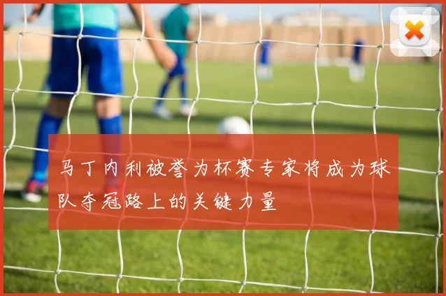 马丁内利被誉为杯赛专家将成为球队夺冠路上的关键力量